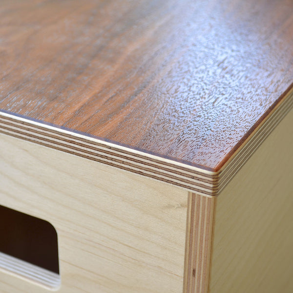 Modern Side Table / Walnut Top